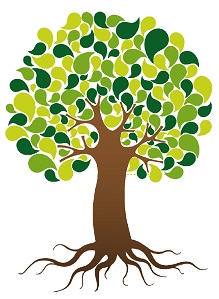 Entwicklungsbaum
